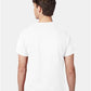 Hanes 5250 Unisex Authentic T-Shirt - Back view