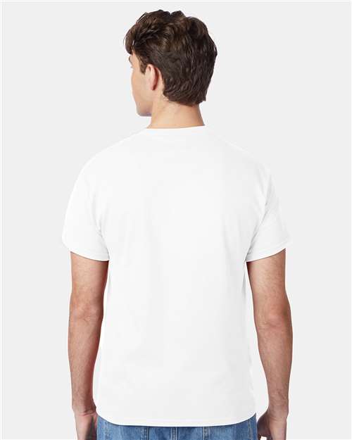 Hanes 5250 Unisex Authentic T-Shirt - Back view