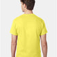 Hanes 5250 Unisex Authentic T-Shirt - Back view