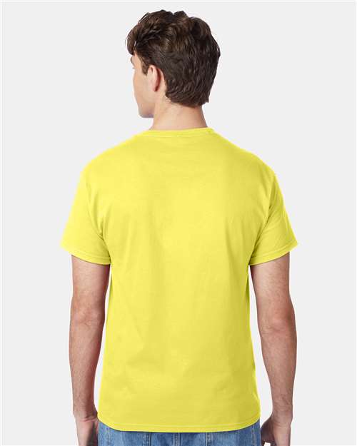Hanes 5250 Unisex Authentic T-Shirt - Back view