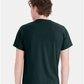 Hanes 5170 Unisex EcoSmart? T-Shirt - Back view