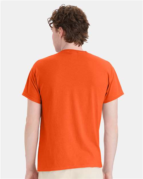 Hanes 5170 Unisex EcoSmart? T-Shirt - Back view