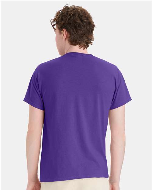 Hanes 5170 Unisex EcoSmart? T-Shirt - Back view