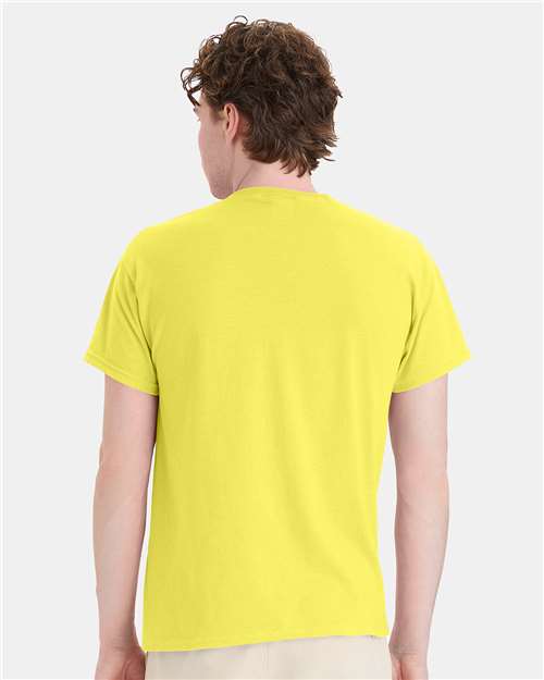 Hanes 5170 Unisex EcoSmart? T-Shirt - Back view