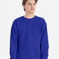 Hanes P160 Unisex EcoSmart? Crewneck Sweatshirt - Front view