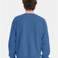Hanes P160 Unisex EcoSmart? Crewneck Sweatshirt - Back view
