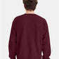 Hanes P160 Unisex EcoSmart? Crewneck Sweatshirt - Back view