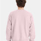 Hanes P160 Unisex EcoSmart? Crewneck Sweatshirt - Back view