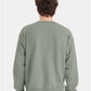 Hanes P160 Unisex EcoSmart? Crewneck Sweatshirt - Back view
