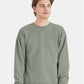 Hanes P160 Unisex EcoSmart? Crewneck Sweatshirt - Front view