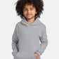 Hanes P473 Youth EcoSmart? Hooded Sweatshirt - Front view