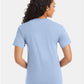 Hanes 5280 Unisex Essential-T T-Shirt - Back view