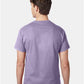 Hanes 5250 Unisex Authentic T-Shirt - Back view
