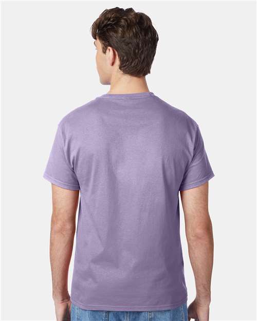 Hanes 5250 Unisex Authentic T-Shirt - Back view