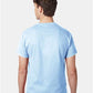 Hanes 5250 Unisex Authentic T-Shirt - Back view