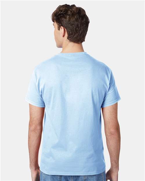 Hanes 5250 Unisex Authentic T-Shirt - Back view