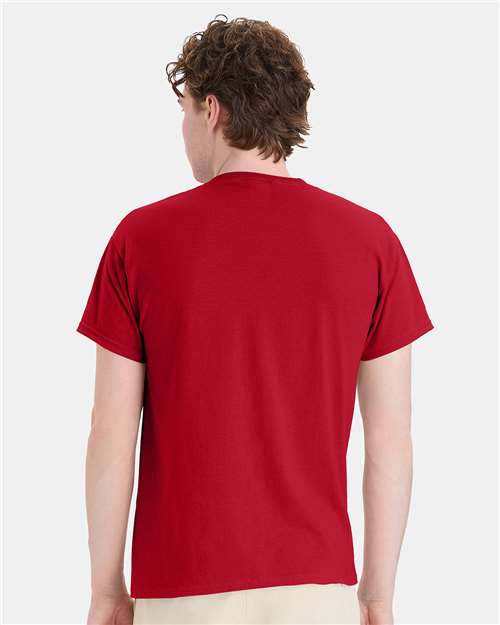 Hanes 5170 Unisex EcoSmart? T-Shirt - Back view