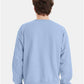 Hanes P160 Unisex EcoSmart? Crewneck Sweatshirt - Back view