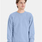 Hanes P160 Unisex EcoSmart? Crewneck Sweatshirt - Front view