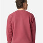 Comfort Colors 1566 Youth Attain Two-Button Jersey - Back view