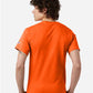 Champion T425 Unisex Classic T-Shirt - Back view