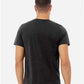 BELLA  CANVAS 3413 Triblend Tee - Back view