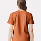 Comfort Colors 1717 Unisex Garment-Dyed Heavyweight T-Shirt - Back view