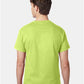 Hanes 5250 Unisex Authentic T-Shirt - Back view
