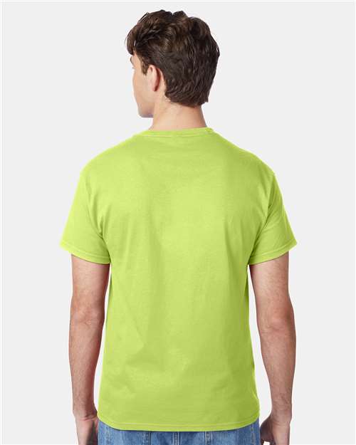 Hanes 5250 Unisex Authentic T-Shirt - Back view