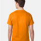 Hanes 5250 Unisex Authentic T-Shirt - Back view