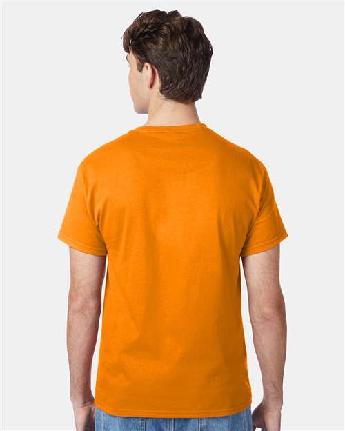 Hanes 5250 Unisex Authentic T-Shirt - Back view