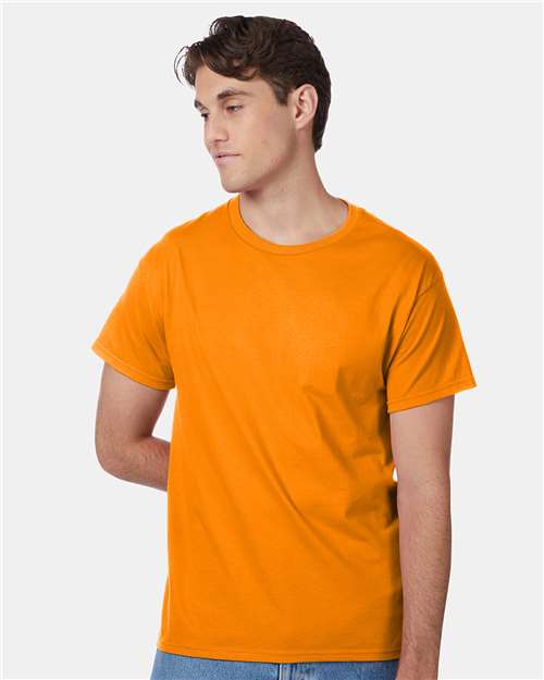 Hanes 5250 Unisex Authentic T-Shirt - Front view