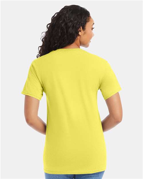 Hanes 5280 Unisex Essential-T T-Shirt - Back view