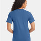 Hanes 5280 Unisex Essential-T T-Shirt - Back view