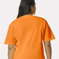 Comfort Colors 1717 Unisex Garment-Dyed Heavyweight T-Shirt - Back view