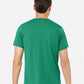 BELLA  CANVAS 3413 Triblend Tee - Back view