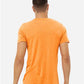 BELLA  CANVAS 3413 Triblend Tee - Back view