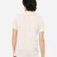 BELLA  CANVAS 3413 Triblend Tee - Back view