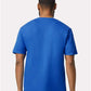 Gildan 64V00 Unisex Softstyle? V-Neck T-Shirt - Back view