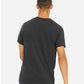BELLA  CANVAS 3413 Triblend Tee - Back view