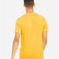 BELLA  CANVAS 3413 Triblend Tee - Back view