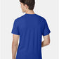 Hanes 42TB Unisex Perfect-T Triblend T-Shirt - Back view