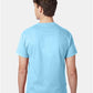 Hanes 5250 Unisex Authentic T-Shirt - Back view