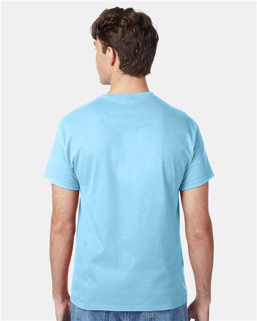 Hanes 5250 Unisex Authentic T-Shirt - Back view