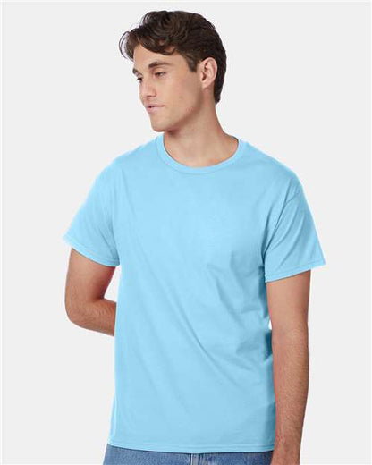 Hanes 5250 Unisex Authentic T-Shirt - Front view