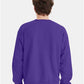 Hanes P160 Unisex EcoSmart? Crewneck Sweatshirt - Back view