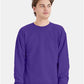 Hanes P160 Unisex EcoSmart? Crewneck Sweatshirt - Front view