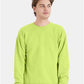 Hanes P160 Unisex EcoSmart? Crewneck Sweatshirt - Front view