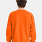 Hanes P160 Unisex EcoSmart? Crewneck Sweatshirt - Back view