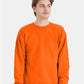 Hanes P160 Unisex EcoSmart? Crewneck Sweatshirt - Front view